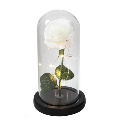 Galaxy Artificial  Rose